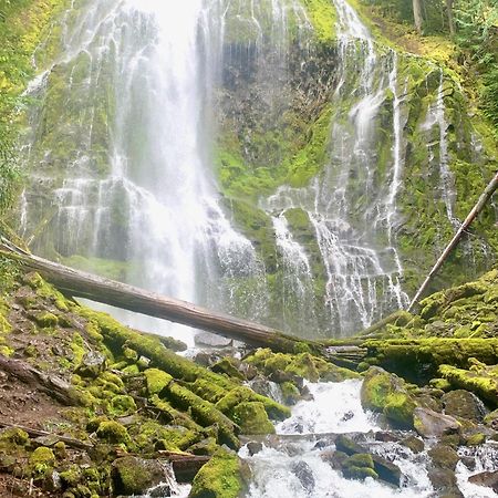 Mckenzie River Mountain Resort Blue River 외부 사진