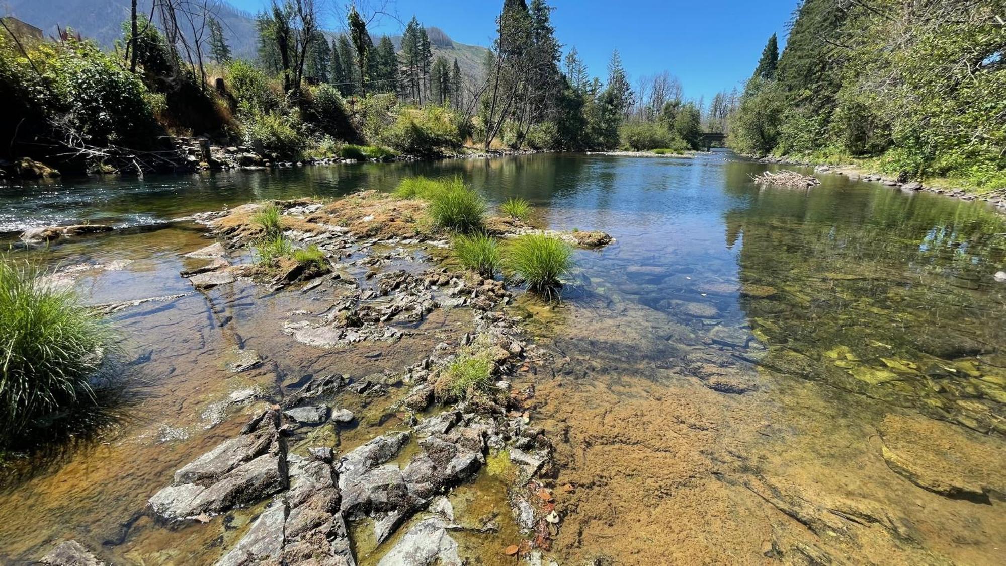 Mckenzie River Mountain Resort Blue River 외부 사진