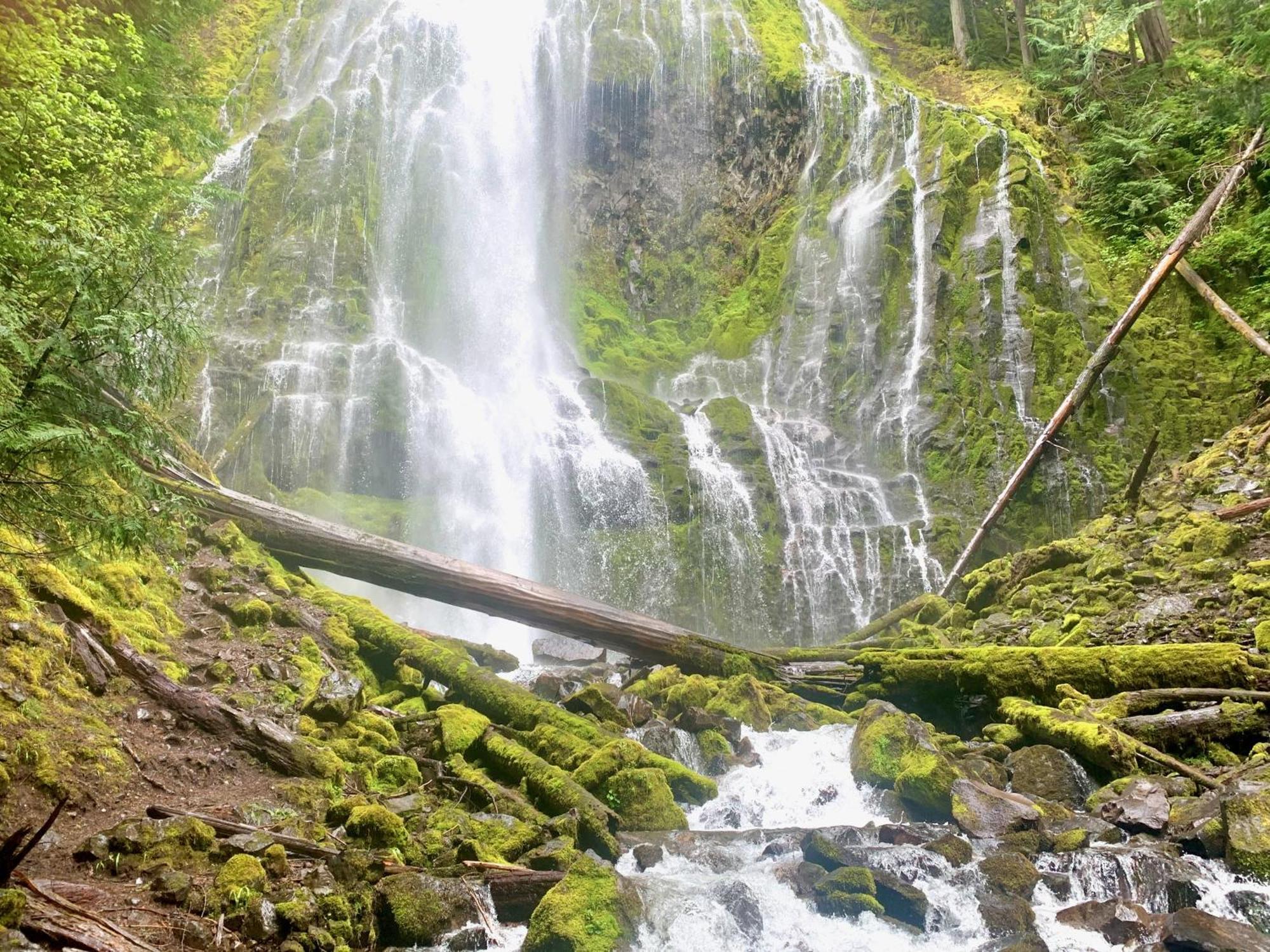 Mckenzie River Mountain Resort Blue River 외부 사진