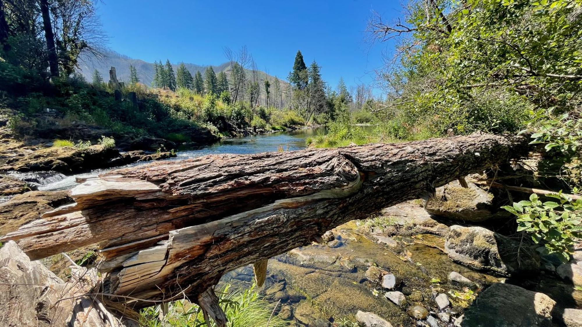 Mckenzie River Mountain Resort Blue River 외부 사진